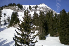 DSCN1403