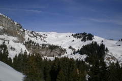 DSCN1419