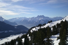 DSCN1425
