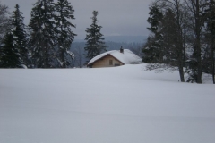 DSCN2773