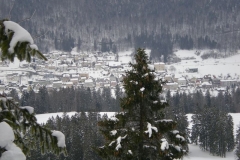 DSCN2791