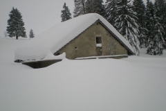 DSCN2793