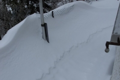 DSCN3657