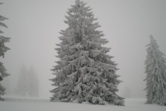 DSCN4855