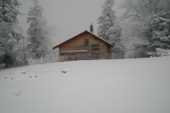 DSCN4859