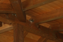 Photo 003