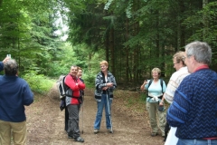 Photo 011