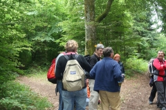 Photo 012