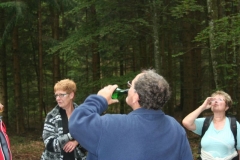 Photo 013