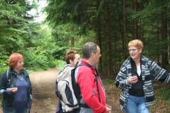 Photo 014