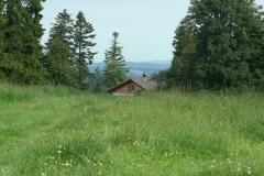 Photo 001