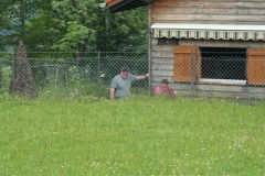 Photo 002