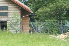 Photo 003