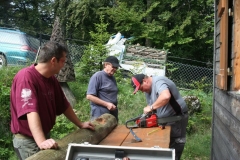 Photo 014