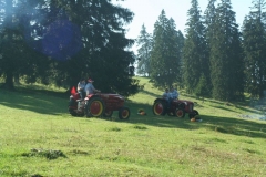 Photo 011