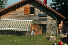 Photo 014