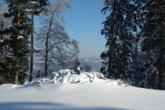 DSCN0899