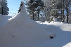 DSCN0902