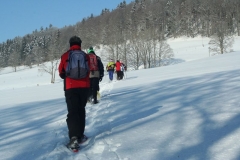 Photo 005