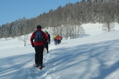 Photo 006