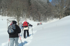Photo 007