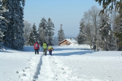 Photo 011