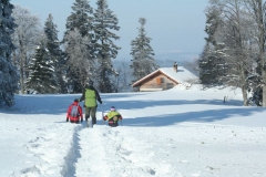 Photo 012