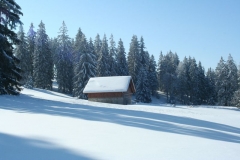 Photo 013