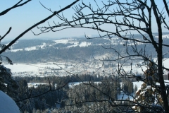 Photo 024