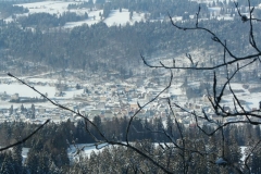 Photo 025