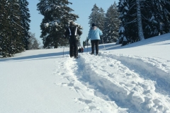 Photo 027