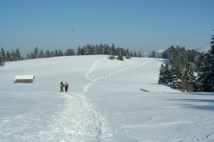 Photo 034