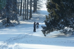 Photo 036