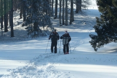 Photo 037