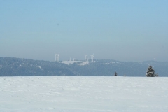 Photo 039