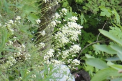 DSC09646