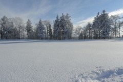 DSC00717