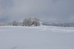 DSCN8440