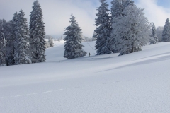 DSCN8451