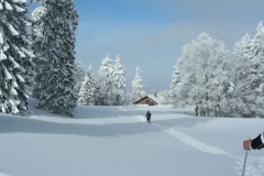 Photo 009