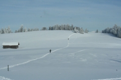 Photo 020
