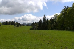 IMAG2601