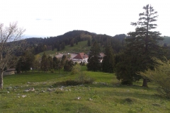 IMAG2694