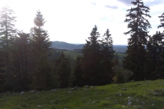 IMAG2695