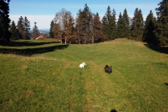 20141026_105916