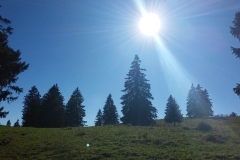 20141026_105947