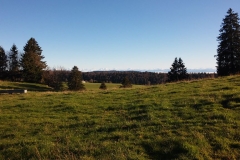 20141026_153034
