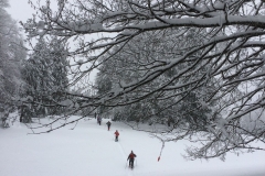 20150208_105128