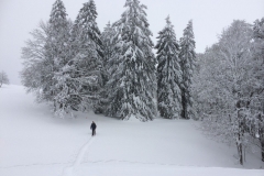 20150208_105250