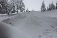 20150208_111858